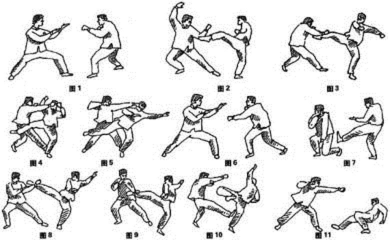 现在,翻子拳被视为中国武术中的精华拳法,被列为全国传统武术表演和