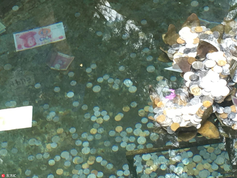 洛阳白马寺许愿池吸引游客 百元大钞沉水底(组图)