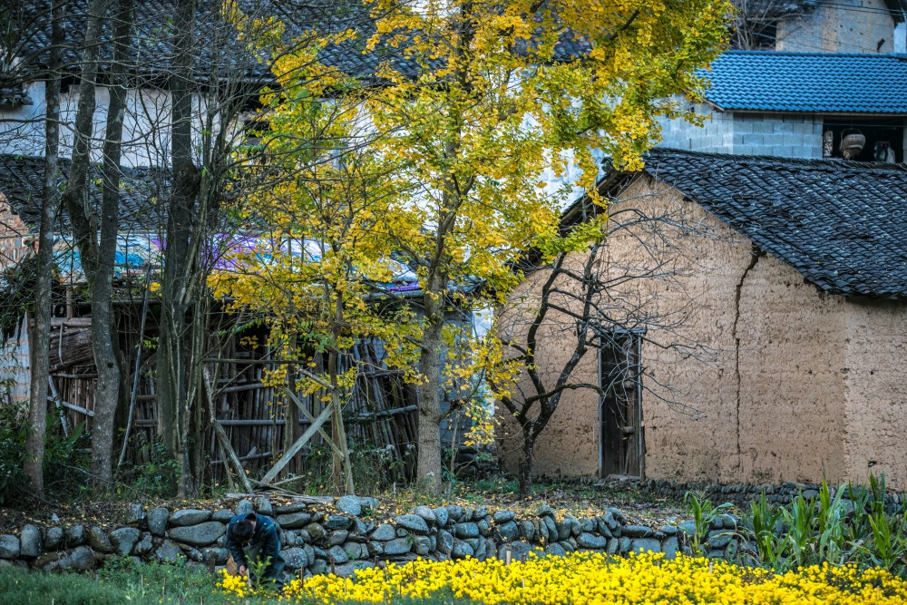 我眼里的世外桃源是个贫困村,村民不懂游客为