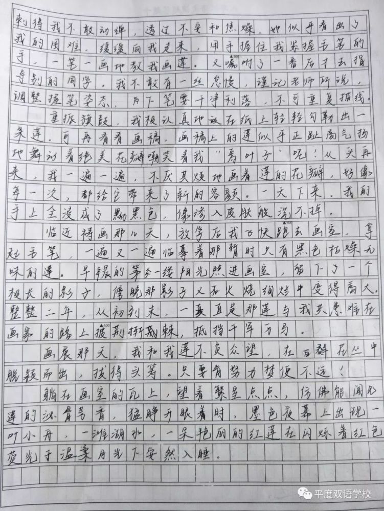 与那一盏茶相遇--平度双语学校的这篇作文火