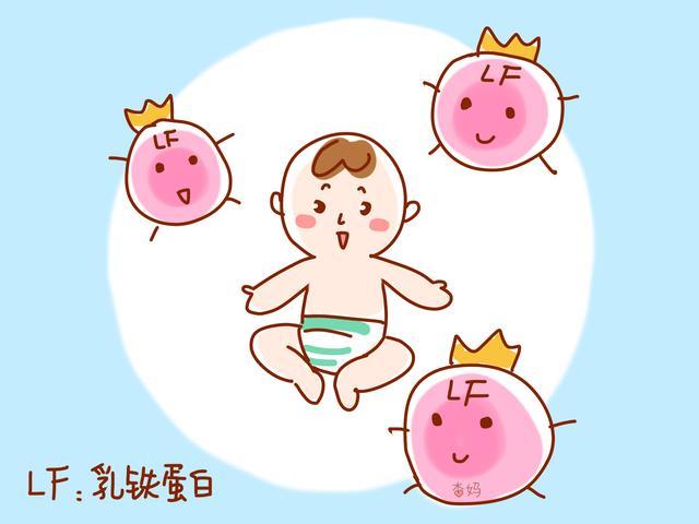 啥叫乳铁蛋白,它对儿童有哪些益处,宝妈不能不知道的知识