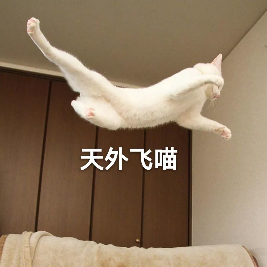 喵星人表情包——天外飞喵