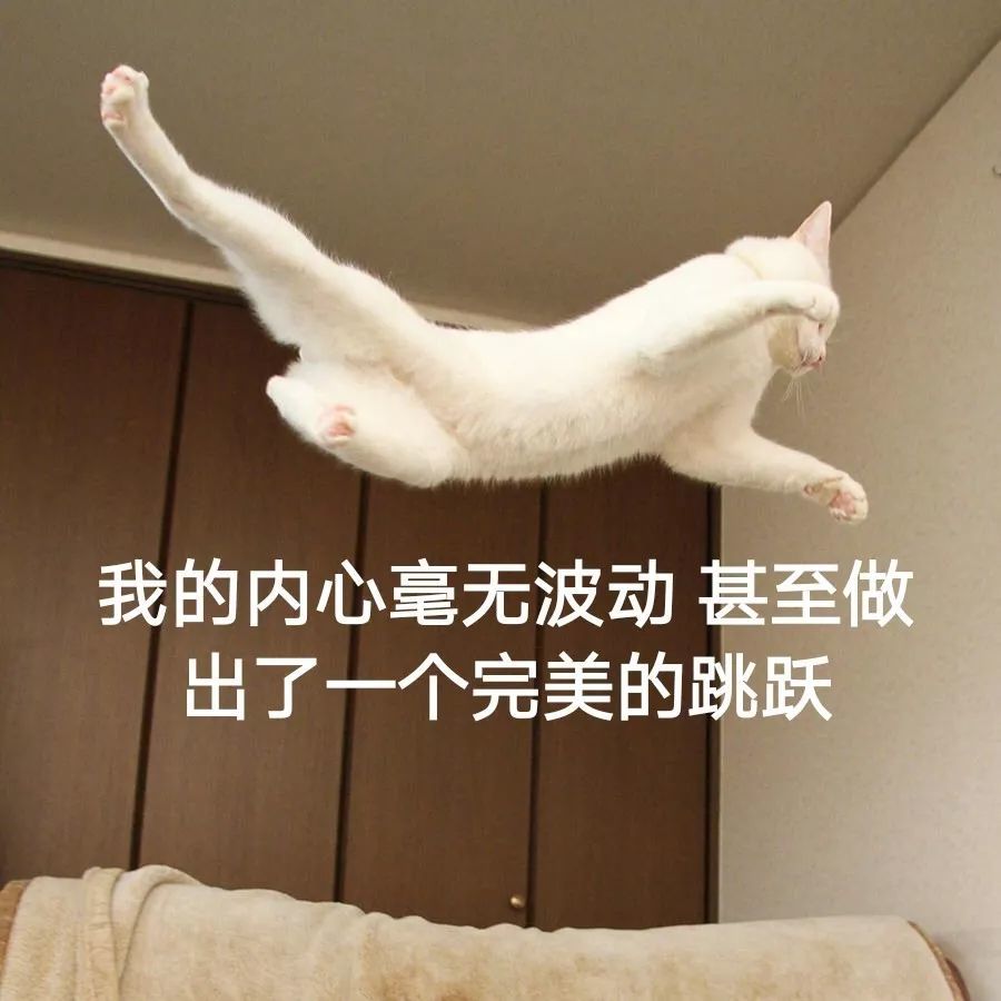 这又和我这近乎完美的跳跃有什么关系呢?