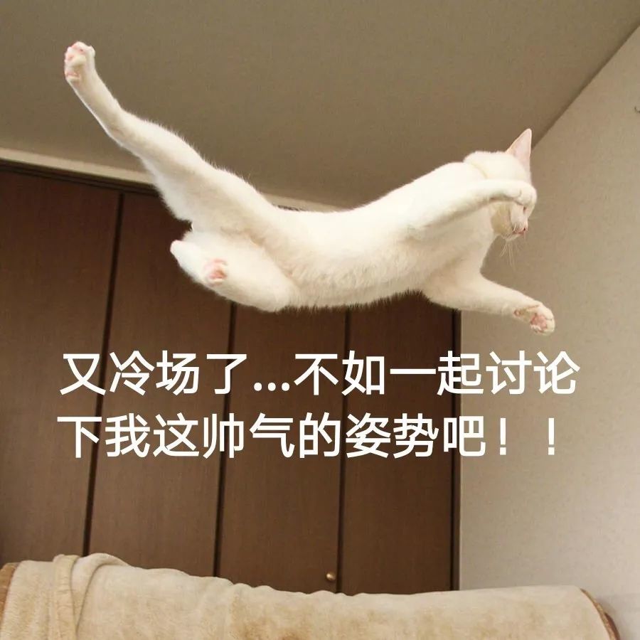 喵星人表情包——天外飞喵