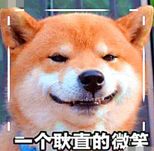 小柴犬,表情包,柴犬,笑容,舌头