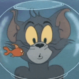 今天是《猫和老鼠》表情包特辑!