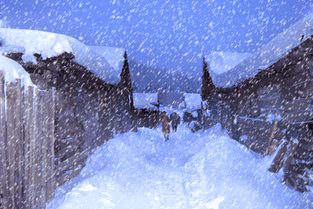 11月23日,重庆主城第一场大雪!