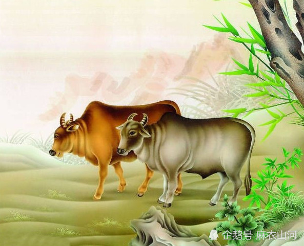 属牛人心无旁骛的工作,整体运势在潜移默化中逐渐好转.