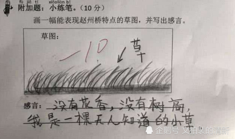 题目要求画一张能表现赵州桥特点的草图,并写出感言.