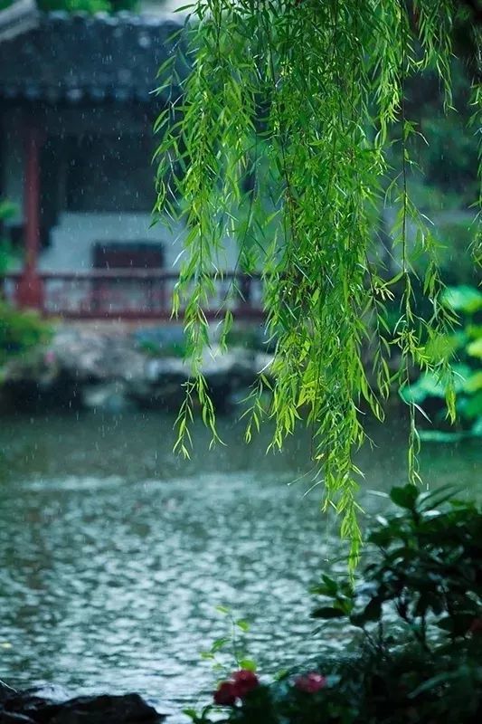 九首写雨的诗词,美到让人心碎