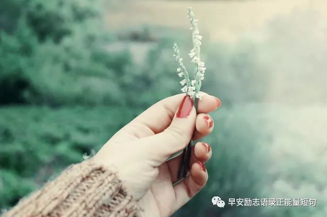 新年寄语2019给自己一句话 2019年给自己的一段话