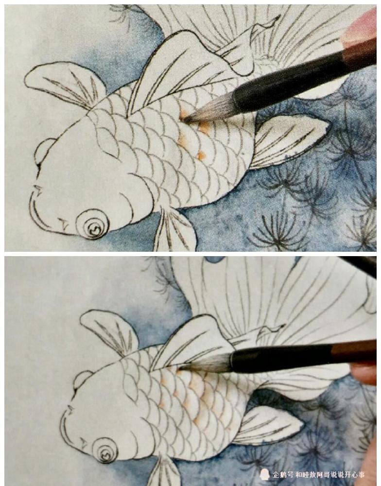 《鱼戏图》工笔画分染详细技法