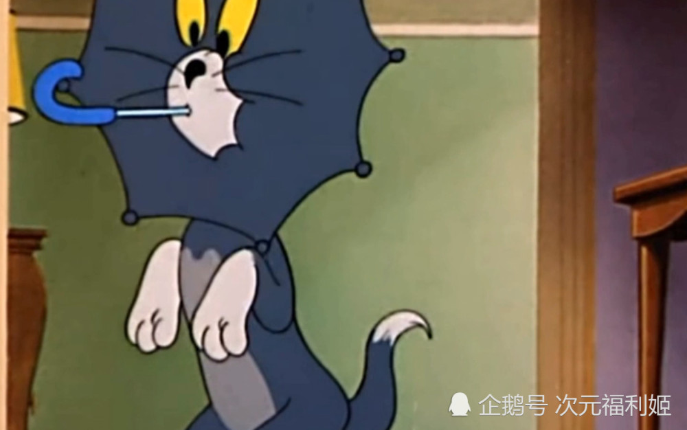 猫和老鼠:三只小猫欺负汤姆杰瑞,让所有人愤怒,结局大