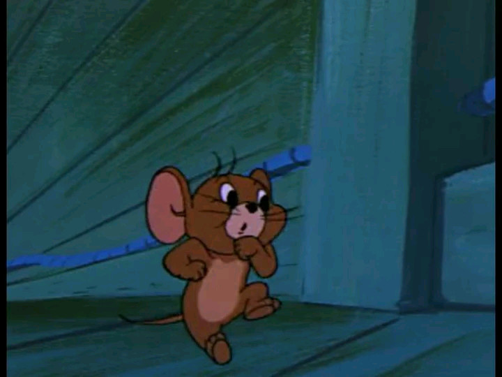 猫和老鼠:幸亏是有杰瑞,小黄鸟这才被成功被救了!