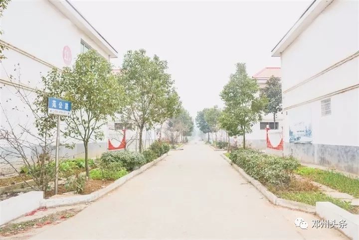 扶贫路上的使命与担当——记邓州市张村镇扶贫办主任姚崇