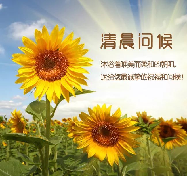 2019年8月29日,把握当下,心怀希望,迎接未来.美好的从