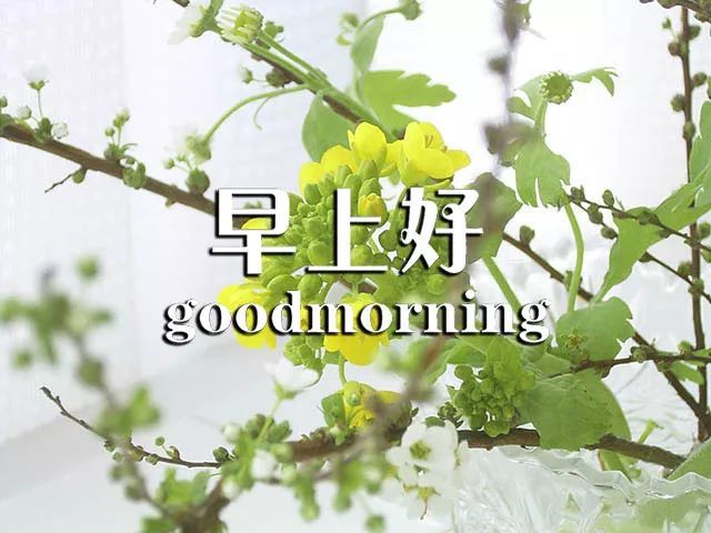 漂亮早上好图片 美好的一天早安心情说说