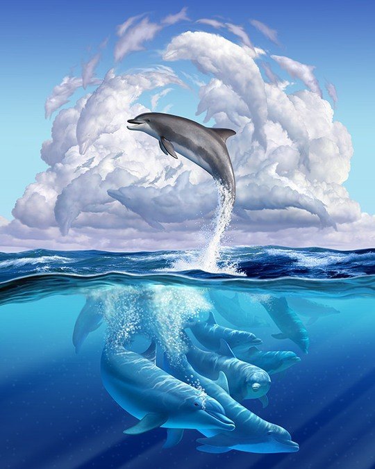 能够海底自由遨游的海豚,每次跳出海面是不是对天空的向往呢?