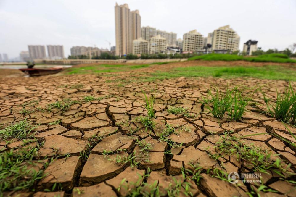 鄱阳湖水位下降 千年石岛重见天日