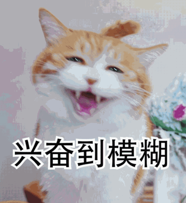 澳门新莆京娱乐网站 5