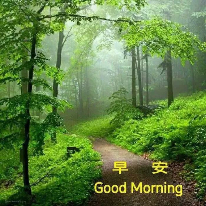 早上好图片带字大全 祝福早上好的句子