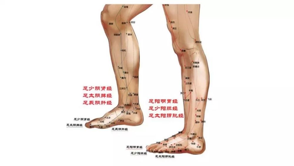 定位:足少阴肾经,足太阴脾经与足厥阴肝经在小腿内侧裤线 位置