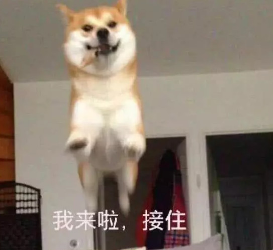 接住以后就把你扔飞出去!