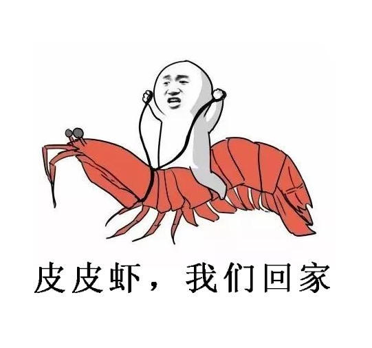 新鲜的搞笑段子:学车学到向日葵都长出来了.小鱼的搞笑一天