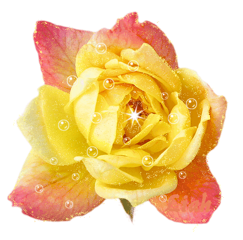 2019正能量早安问候语 清晨群发朋友圈的特漂亮动态图片