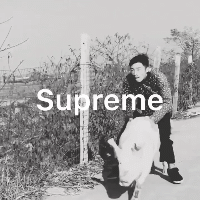 每日一笑:土到极致就是潮 万物皆可supreme
