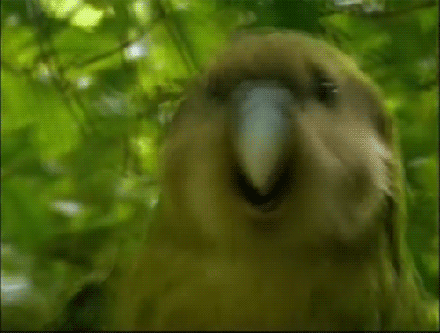 自然界凭