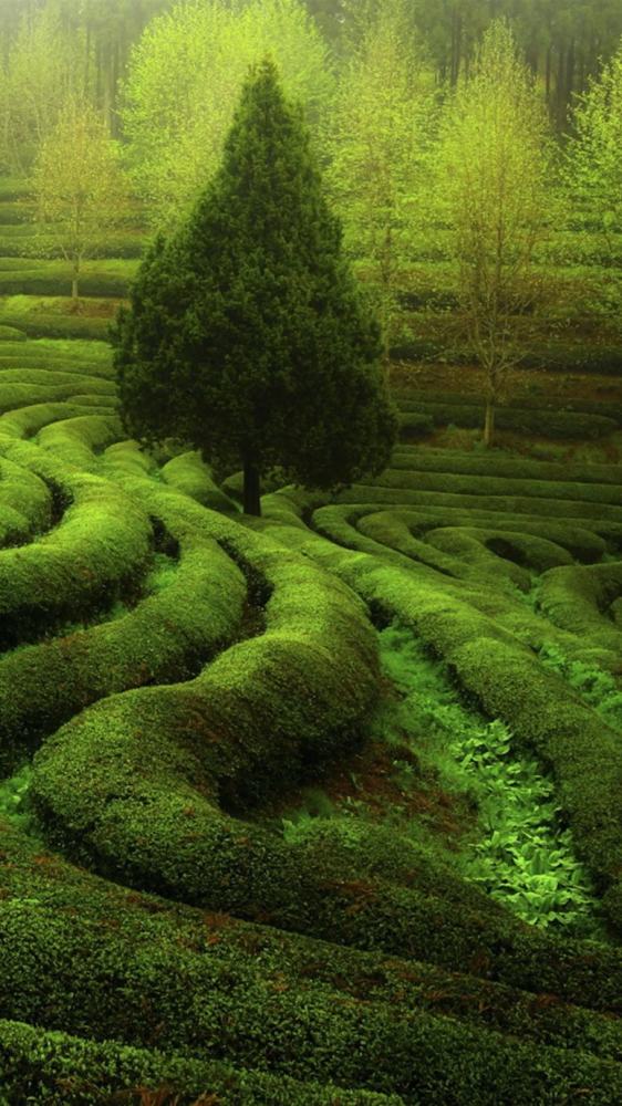 自然景观手机屏保手机壁纸