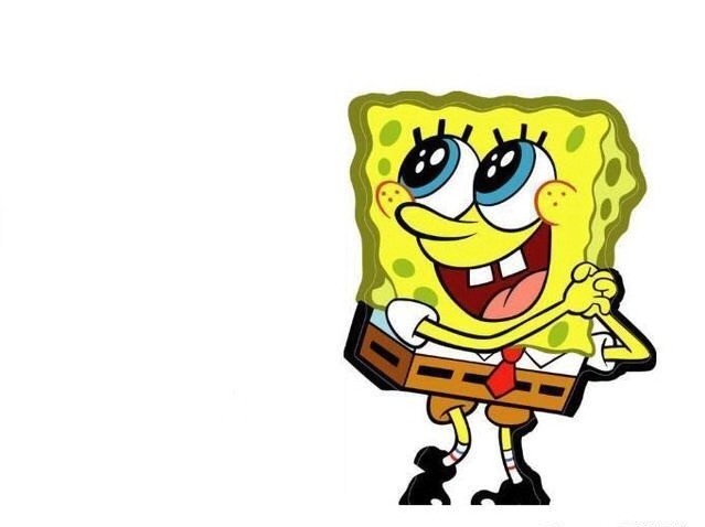 海绵宝宝养对宠物万般宠爱,简简单单的生活,网友:我养