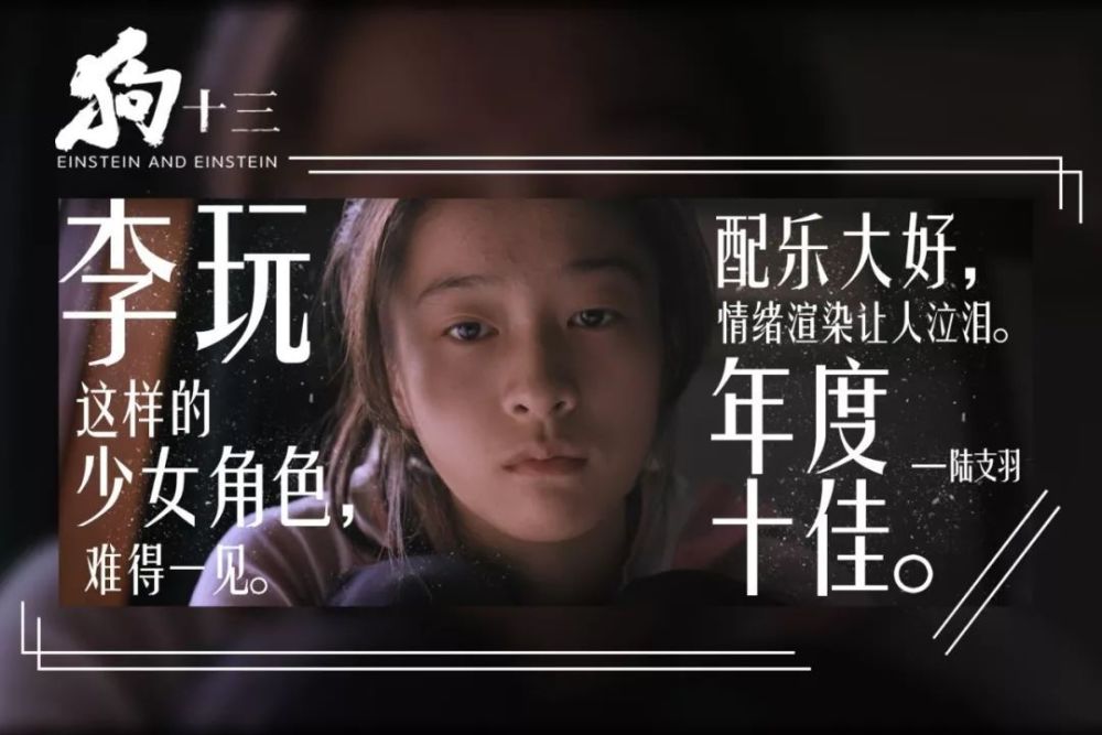 《狗十三》首映:姚晨看到哽咽 含泪推荐"残酷又滑稽"