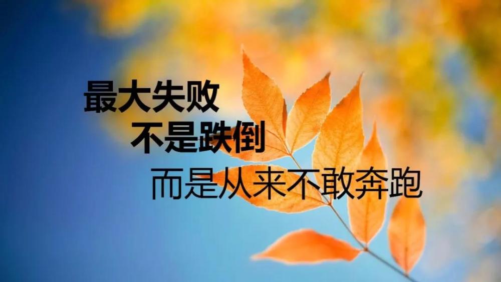 励志唯美的早安句子:不要选择安逸,向上的路,并不拥挤