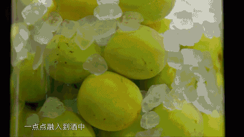 没有梅酒和冰块的夏天是不完整的!初夏将至,摘一捧青梅,酿一壶回忆!
