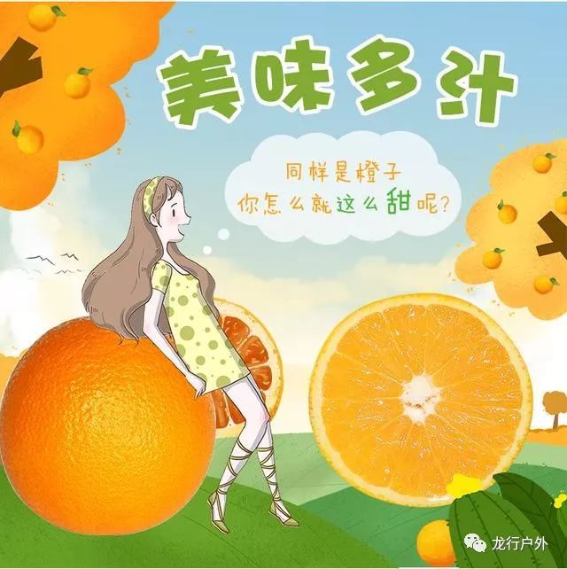 中国最好吃的脐橙竟在这个小镇里,果园实拍,看最可爱的脐橙!