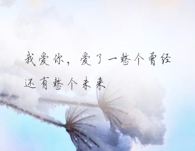 对不起,我还是没能变成你喜欢的模样