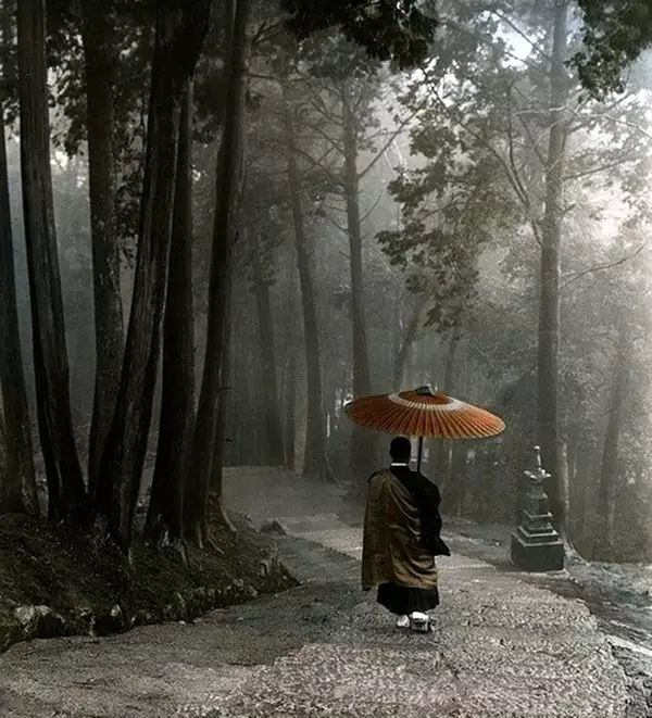 日本,寺院小径打伞的和尚.照片大约拍摄于1910年左右,手工上色.