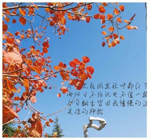 憧憬未来,憧憬过去.我还有你.