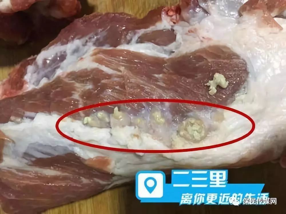 众源农副超市猪肉上出现多处白色脓包 检疫站:有脓包属正常打防疫针没