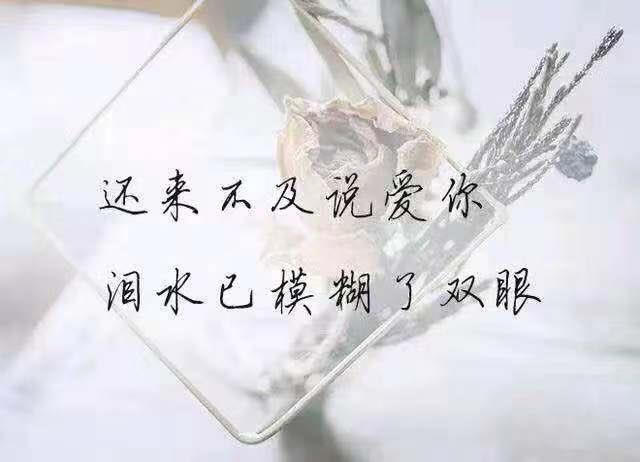 让人失望心寒的伤感句子,句句心酸无奈,深爱过的人都懂