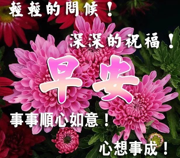 2019微信早安问候祝福语优美动态表情图片分享