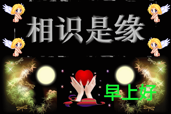 早上好祝福语句配图,早上好动态图唯美