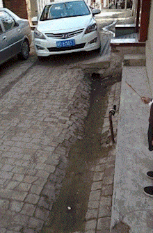 搞笑gif图:女司机就是女司机,开车就是这么刺激,就问你服不服