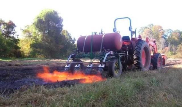 全球的粮食都在美国进口,看看人家的除草方式