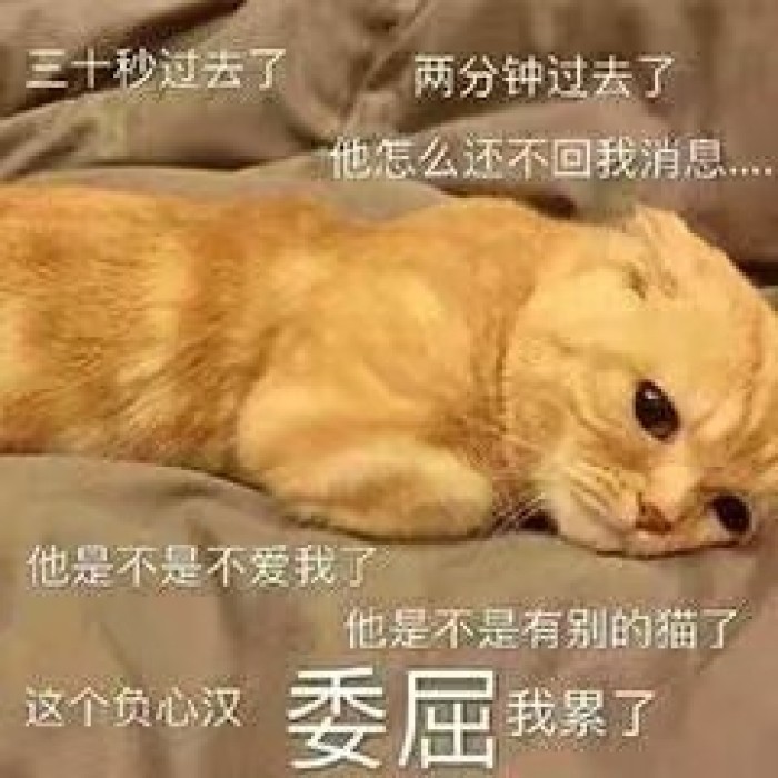 超搞笑·沙雕表情包:你是不嫌我菜,不想带我打游戏了?