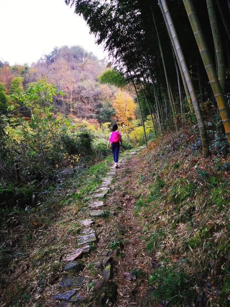"体育彩票杯"2018宁波登山大会活动落幕,岗山古道火了