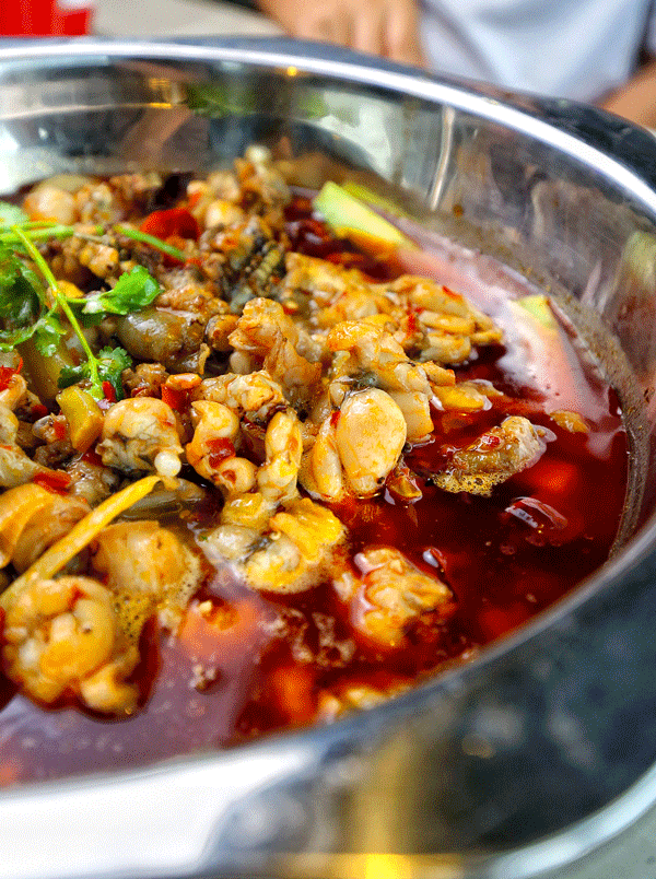 干 锅 鸡 美食 网 鱼 做法 600_804 竖版 竖屏 gif 动态图 动图