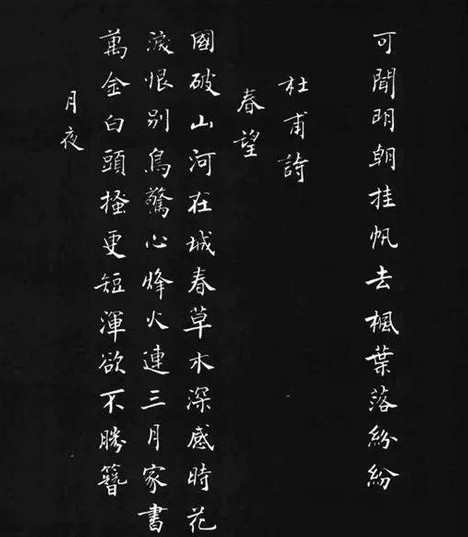 打破吉尼斯纪录 中国第一小楷书法 都该看看 网友 不愧是国粹 看点快报